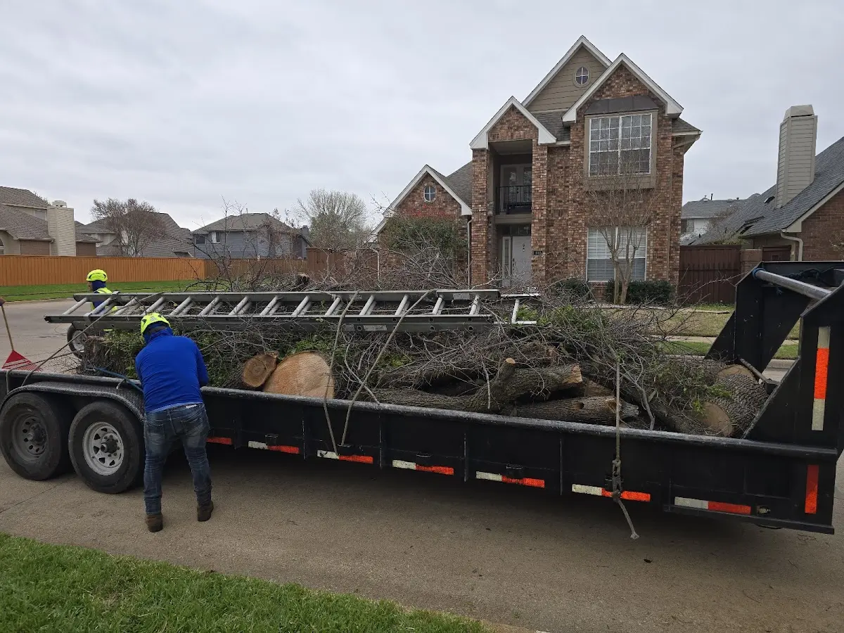 Expert Tree Fertilization with proper safety equipment in Devers